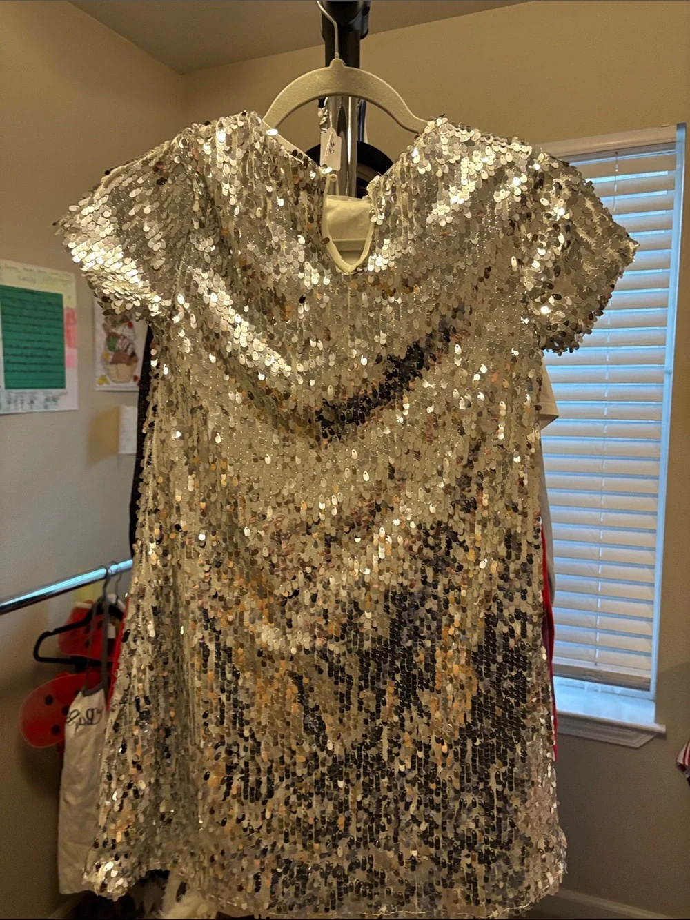 Sparkling Silver Sequin Girls Dress